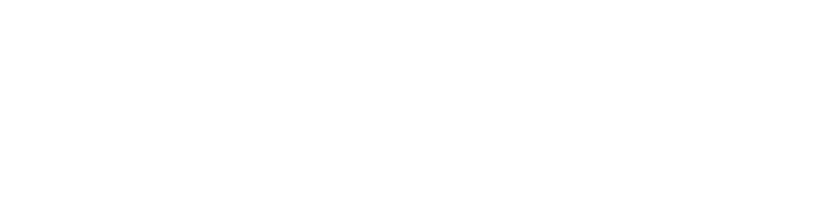 Nanjing University logo